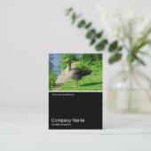 ハーフフォト0224 - Greylag Goose 名刺 (スタンド正面)