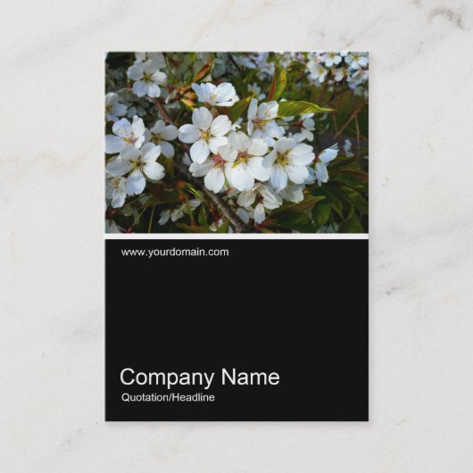 ハーフフォト024 -さくらんぼブロッサム 名刺 (正面)