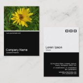 ハーフフォト0259 - Hover Fly on a Yellow Chrys 名刺 (正面/裏面)