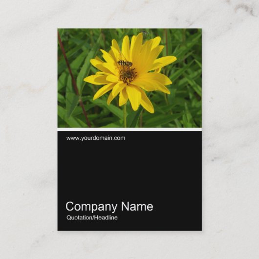 ハーフフォト0259 - Hover Fly on a Yellow Chrys 名刺 (正面)