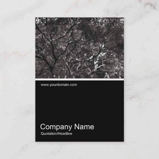 ハーフフォト0284 – 枝日本の数01 名刺 (正面)