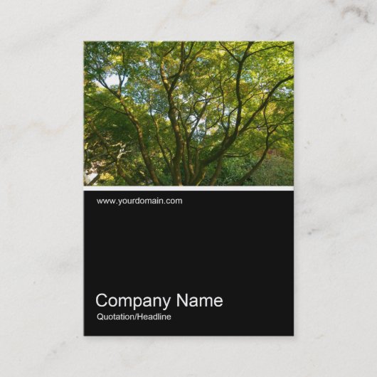 ハーフフォト0289 – 枝日本の数06 名刺 (正面)