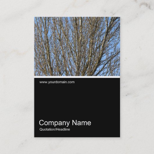 ハーフフォト0297 - Sunlit Branches 名刺 (正面)