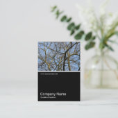 ハーフフォト0298 – 暖かい日光の中の枝 名刺 (スタンド正面)