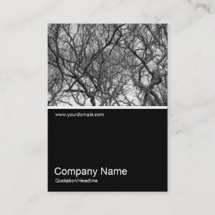ハーフフォト0300 - Magnolia Tree Branches B&W 名刺