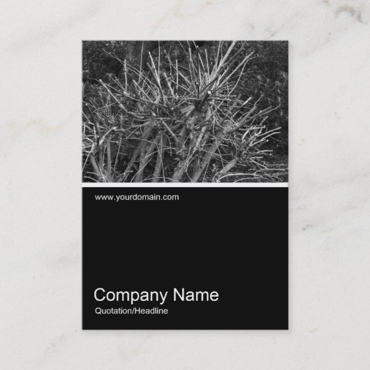 ハーフフォト0301 – 剪定された低木 名刺 (正面)