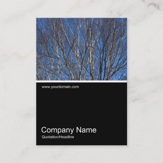 ハーフフォト0303 – シルバー樺の木ブランチ 名刺 (正面)