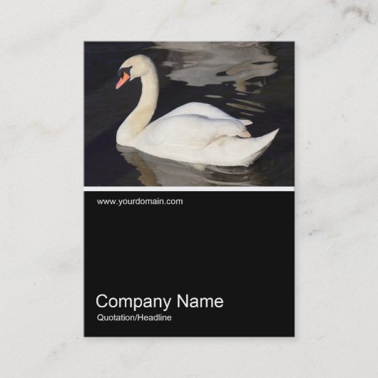 ハーフフォト0307 - Mute Swan 名刺 (正面)