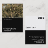 ハーフフォト0312 – ゴールデンブランチ 名刺 (正面/裏面)