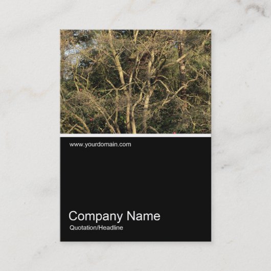 ハーフフォト0312 – ゴールデンブランチ 名刺 (正面)