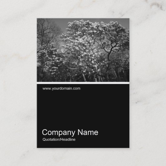 ハーフフォト0314 – 花のマグノリアの木 名刺 (正面)