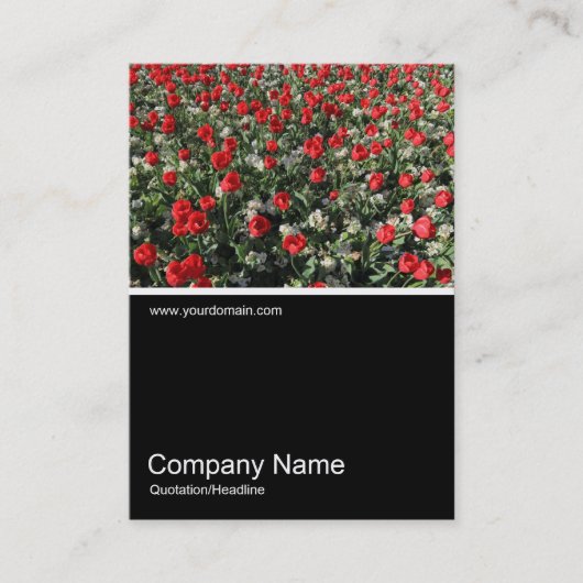 ハーフフォト0316 - Red Tullips and Primroses 名刺 (正面)