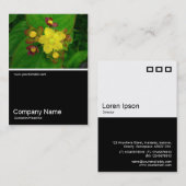 ハーフフォト036 - Hypericum Androsaemum 名刺 (正面/裏面)