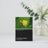 ハーフフォト036 - Hypericum Androsaemum 名刺 (スタンド正面)