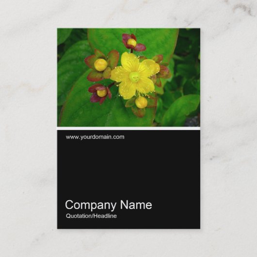 ハーフフォト036 - Hypericum Androsaemum 名刺 (正面)