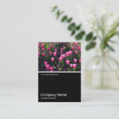 ハーフフォト0384 – ピンクのチューリップのベッド 名刺 (スタンド正面)