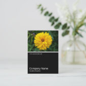 ハーフフォト057 – 菊 名刺 (スタンド正面)