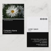 ハーフフォト062 -デイジー 名刺 (正面/裏面)