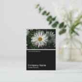 ハーフフォト062 -デイジー 名刺 (スタンド正面)