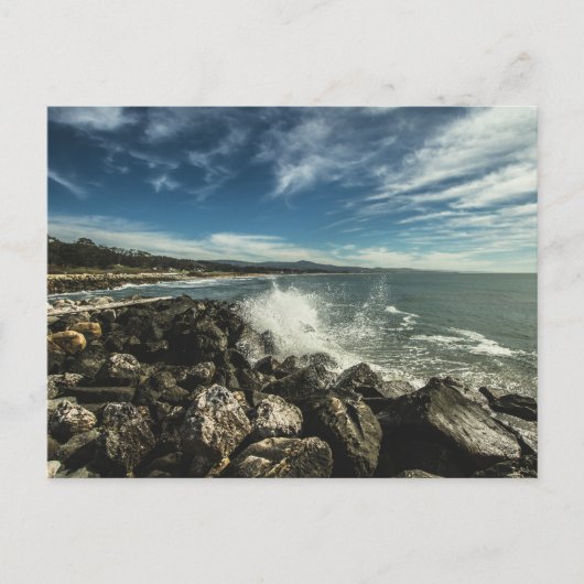 ハーフムーンベイカリフォルニア ポストカード (正面)