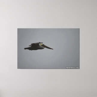 ハーフムーンベイシュティアルペリカンIII -キャンバスプリント キャンバスプリント