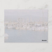 ハーフムーンベイポストカード ポストカード (裏面)