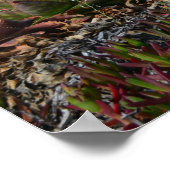 ハーフムーンベイ&アロエヴェラプライベートビーチポスター ポスター (角)