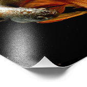 ハーフムーンベッタフィッシュ フォトプリント            (角)