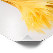 ハーフムーンベッタフィッシュ フォトプリント            (角)