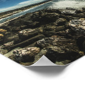 ハーフムーン湾 ポスター (角)