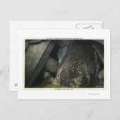 ハーフ隠し滝ズプラトンの審判ホールの見解 ポストカード (正面/裏面)