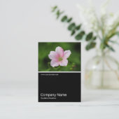 ハーフ&ハーフフォト0346 – ゼラニウム 名刺 (スタンド正面)