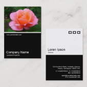 ハーフ&ハーフ写真0173 -バラ 名刺 (正面/裏面)