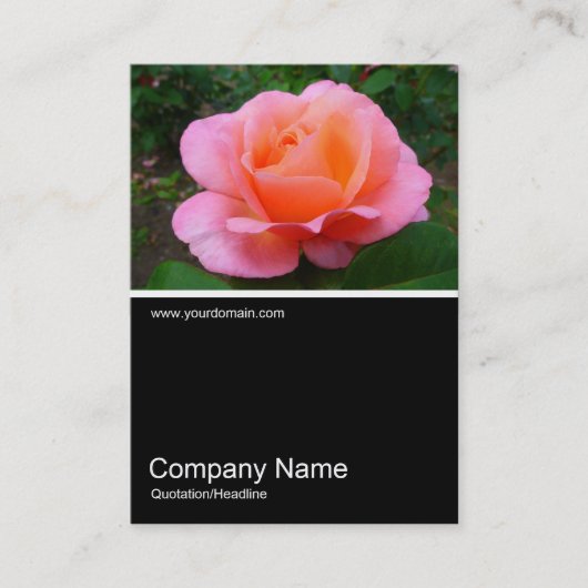 ハーフ&ハーフ写真0173 -バラ 名刺 (正面)