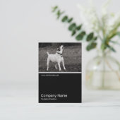 ハーフ&ハーフ写真0273 - Dog Agog 名刺 (スタンド正面)