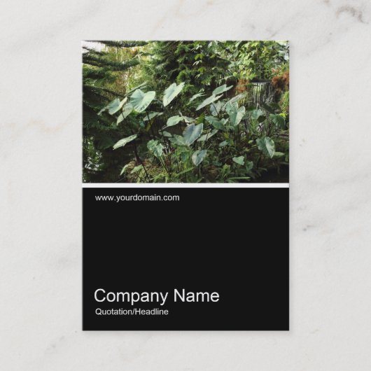 ハーフ&ハーフ写真0317 – 植物園 名刺 (正面)