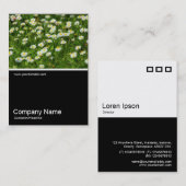 ハーフ&ハーフ写真0385 -デイジー草原 名刺 (正面/裏面)