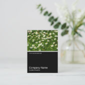 ハーフ&ハーフ写真0385 -デイジー草原 名刺 (スタンド正面)