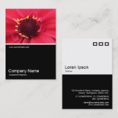 ハーフ&ハーフ写真0388 – ダリア 名刺 (正面/裏面)