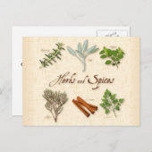 ハーブとスパイスのはがき ポストカード (正面/裏面)