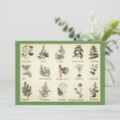 ハーブとスパイスの招待状 招待状 (スタンド正面)