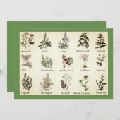 ハーブとスパイス招待状 招待状 (正面/裏面)