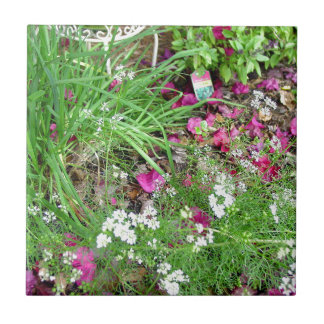 ハーブのコレクションのアサツキの写真の芸術 タイル