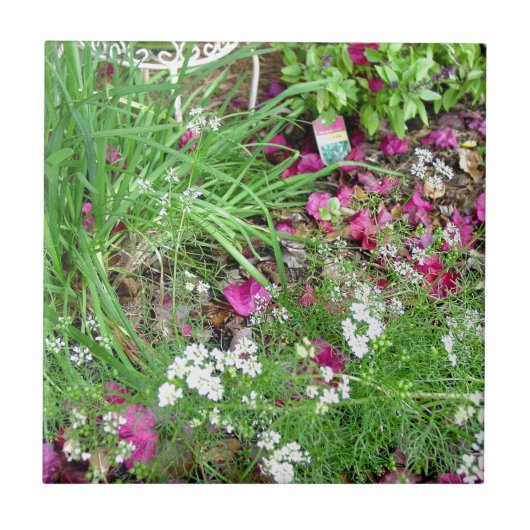 ハーブのコレクションのアサツキの写真の芸術 タイル (正面)