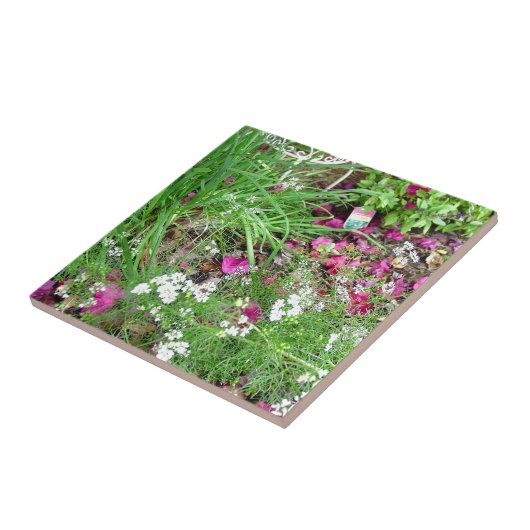 ハーブのコレクションのアサツキの写真の芸術 タイル (側面)