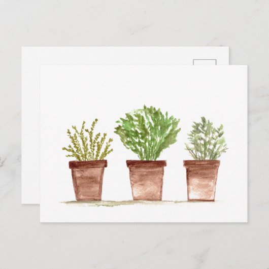 ハーブのセージ、ローズマリー、タイムの庭 ポストカード (正面/裏面)