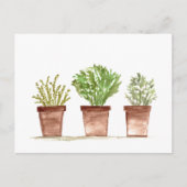 ハーブのセージ、ローズマリー、タイムの庭 ポストカード (正面)