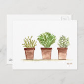 ハーブのセージ、ローズマリー、タイム ポストカード (正面/裏面)