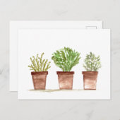 ハーブの庭、セージ、ローズマリー、タイム ポストカード (正面/裏面)