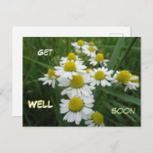 ハーブの花のクローズアップ　回復おめでとう ポストカード (正面/裏面)